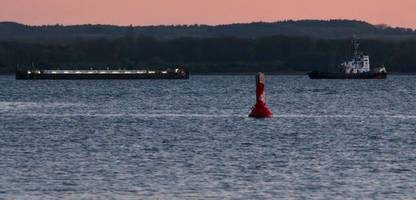 Gestrandeter Wal in der Ostsee: Schleppverband befindet sich nahe Fehmarn