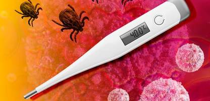 zecken und fsme: wie ein mann nach verpasster impfung wieder laufen lernen muss