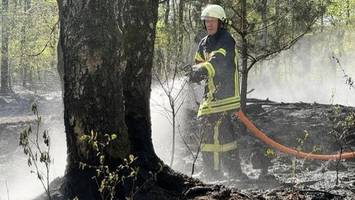 drei hektar moor brennen in großenaspe, wildpark eekholt evakuiert