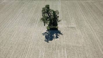 hitze, eisschmelze, meereserwärmung: 2025 war ein jahr der extreme in europa