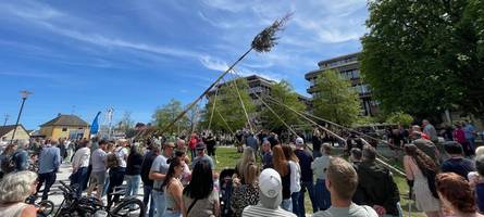Maibaumdiebstähle: Ist das noch Brauchtum oder schon eine Straftat?
