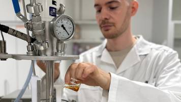 palmöl-alternative: bakterien fressen klimaschädliche gase einfach auf