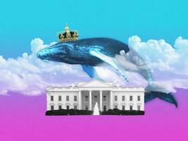 debatte: danke, king charles, und gute wünsche, lieber wal