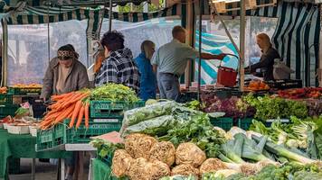 gibt menschen, die seit 1993 zu uns kommen: hans (57) und katleen (47) stehen seit über 30 jahren auf märkten