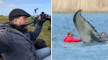 was ich vom buckelwal über deutschland gelernt habe