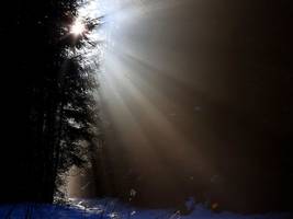 Verdacht auf Kindeswohlgefährdung: Jugendamt holt Kinder aus Trauma-Einrichtung