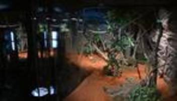 Angriffe im Zoo: Mutmaßliche Attacken auf kleine Kinder bei Zoo-Besuch