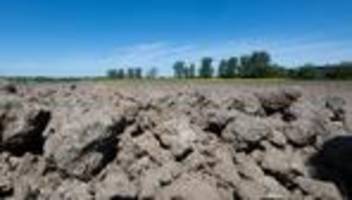 Kein Regen: Trockenheit setzt Böden teils zu – Waldbrandgefahr steigt