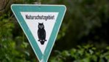 Naturschutz: Braunkohle-See bei Zeitz wird Schutzgebiet für Wasservögel