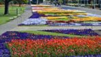 Thüringens größter Garten: Blühendes Denkmal - egapark besteht 65 Jahre