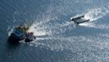 Wal-Transport geht weiter: Transportschiff mit geborgenem Wal jetzt vor Dänemark