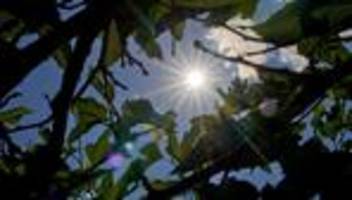 wettervorhersage: das wetter in rheinland-pfalz und dem saarland