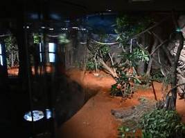 Dunkelbereich im Stuttgarter Zoo: Mysteriöse Verletzungen von Kindern geben der Polizei Rätsel auf