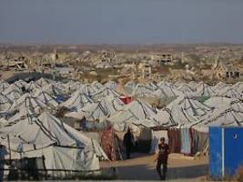 sie beißen, wenn wir schlafen: rattenplage breitet sich in zeltlagern in gaza aus