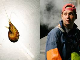 Schwerpunkt „Bei Nacht: Die letzten ihrer Art