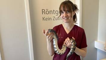 guppy bis python: diese tierärztin hat sich auf exoten spezialisiert