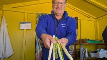 Letzte Saison – dann gibt’s nie wieder Spargel aus Geesthacht