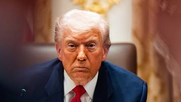 niemand zieht mich so zuverlässig zurück zur bibel wie trump