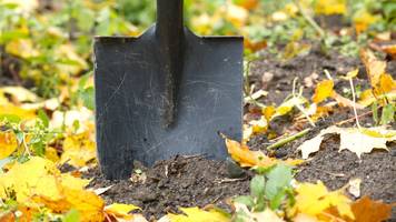 für 174 euro: 52-jähriger gräbt seine schwester aus und trägt ihre Überreste zur bank