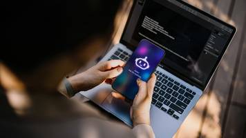 warum bitte nicht halluzinieren bei ki nichts bringt