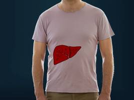 Medizin: „Die Leber tut nicht weh, sie leidet still“