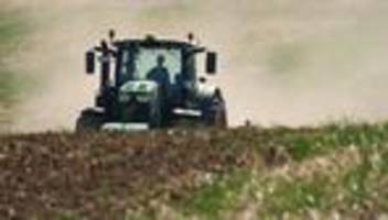 Anhaltende Trockenheit: Noch keine Erntegefahr – Bauern hoffen dennoch auf Regen