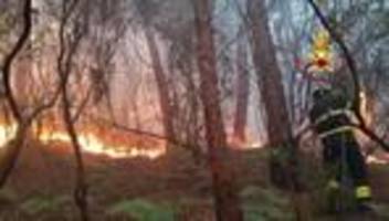 Feuer in Urlaubsregion: Waldbrand in Toskana: 3.500 Menschen evakuiert