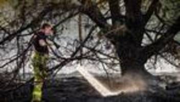 Naturbrände: Brände in den Niederlanden - deutsche Feuerwehr hilft