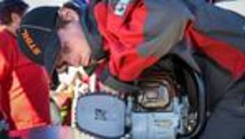 Wettbewerb: Landesmeisterschaften der Waldarbeiter in Eisleben