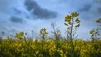 Wetter: Erstes Maiwochenende: Schauer und Gewitter im Anmarsch