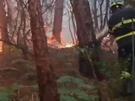 tausende müssen häuser verlassen: großer waldbrand in der toskana