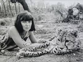 Verzaubert und verstört uns: Helmut & June Newton - wild, modern, in neuer Dimension