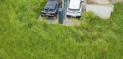 Elektroauto: Vergleich des lokalen Anteils in Deutschland