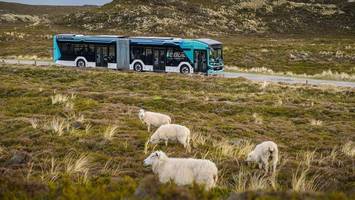 vom elektro-bus auf sylt erfasst: 88-jährige radfahrerin stirbt nach kollision