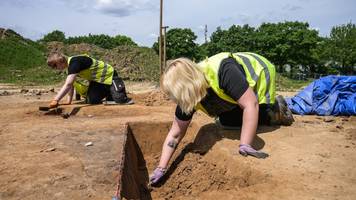 detektoren haben nie aufgehört zu piepen: archäologen entdecken wikingerschatz mit 3000 silbermünzen
