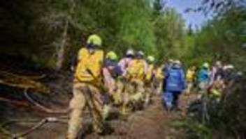 Brände: Mehrere Wald- und Vegetationsbrände fordern Einsatzkräfte