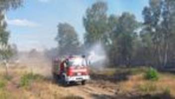 Ehemaliger Truppenübungsplatz: Hohe Waldbandgefahr - Feuerwehr bei Jüterbog im Einsatz