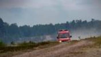 Waldbrandschutz: Wie Schutzstreifen Waldbrände eindämmen sollen