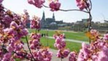 wettervorhersage: frühsommer im mai - 30 grad in sicht?