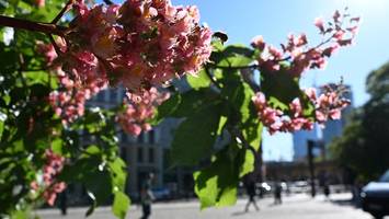 Bis zu 30 Grad! Am Wochenende wird es in Berlin schweißtreibend heiß