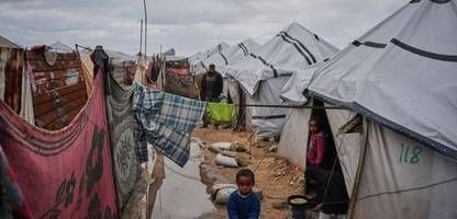 Gaza: Ratten und Parasiten breiten sich in Zeltlagern aus