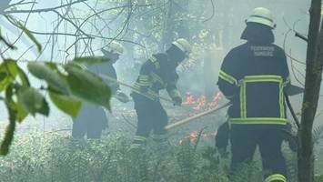 waldbrand nahe hamburger flughafen – polizei ermittelt wegen brandstiftung