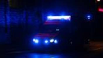 anhalt-bitterfeld: pferd verendet nach zusammenstoß mit auto
