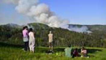 Nationalpark nahe Sachsen : Feuerwehr kämpft gegen Großbrand in Böhmischer Schweiz