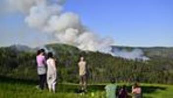 Tschechien: Großbrand im Nationalpark - 500 Einsatzkräfte vor Ort