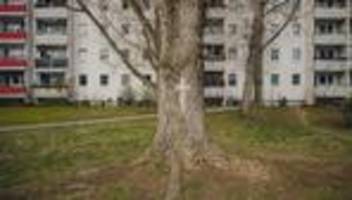 nachverdichtung in berlin: in deinem garten steht bald ein haus