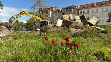 Darum dauert der Umbau des Franz-Neumann-Platzes ganze zwei Jahre