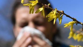 Klara hat Heuschnupfen: „Diese Ernährung hat meine Symptome extrem gelindert“