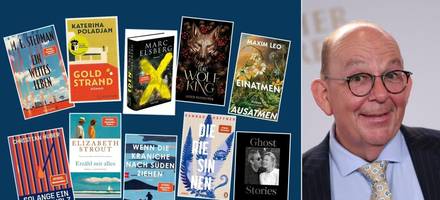 Von Schund bis zum Trost in Worten: Denis Scheck checkt die zehn aktuellen Bestseller