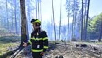nationalpark böhmische schweiz: brand nahe sachsen nicht unter kontrolle - hoffen auf regen